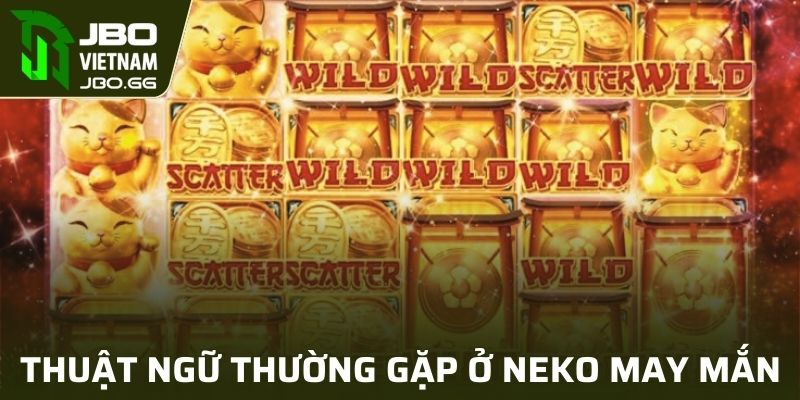 Các thuật ngữ phổ biến trong Neko May Mắn