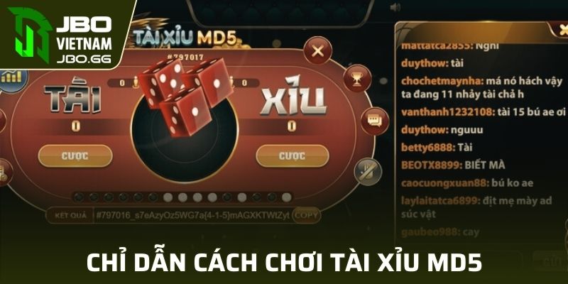 Chỉ dẫn cách tham gia cá cược cùng tài xỉu MD5