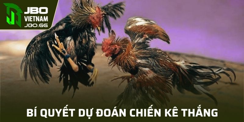 Kinh nghiệm bất bại mọi trận đấu từ chuyên gia