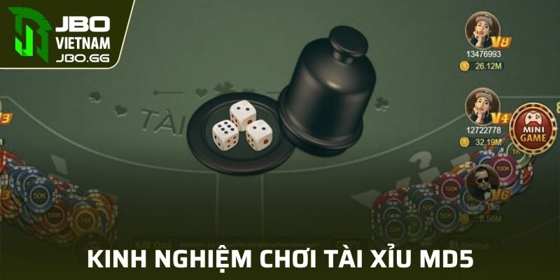 Kinh nghiệm xương máu của lão làng khi chơi MD5
