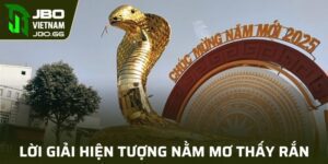 Nằm Mơ Thấy Rắn