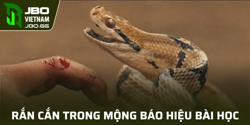 Rắn cắn người trong mộng báo hiệu bài học