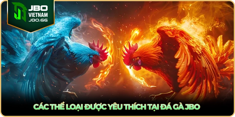 Các thể loại được yêu thích tại đá gà JBO